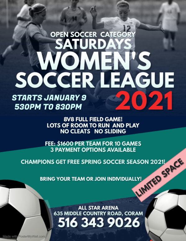 NY WOMEN’S SOCCER LEAGUE THE SOCCER TEAM