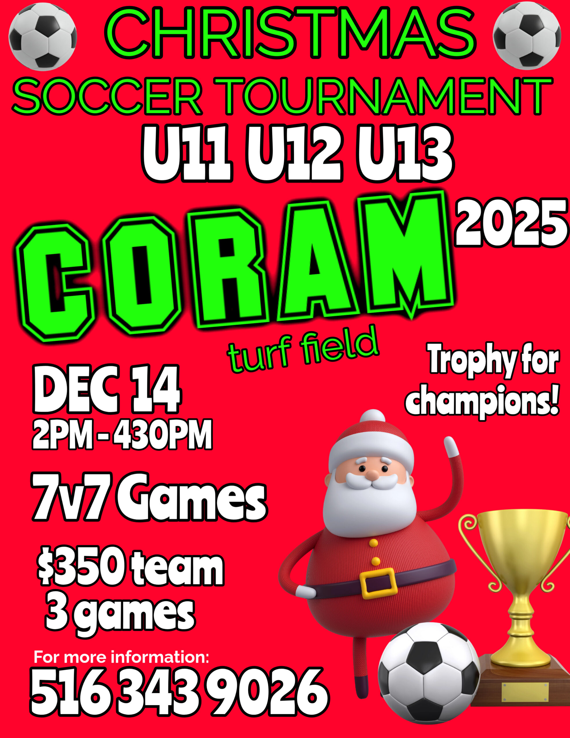 Merry Christmas Happy New Year Card Template (3)