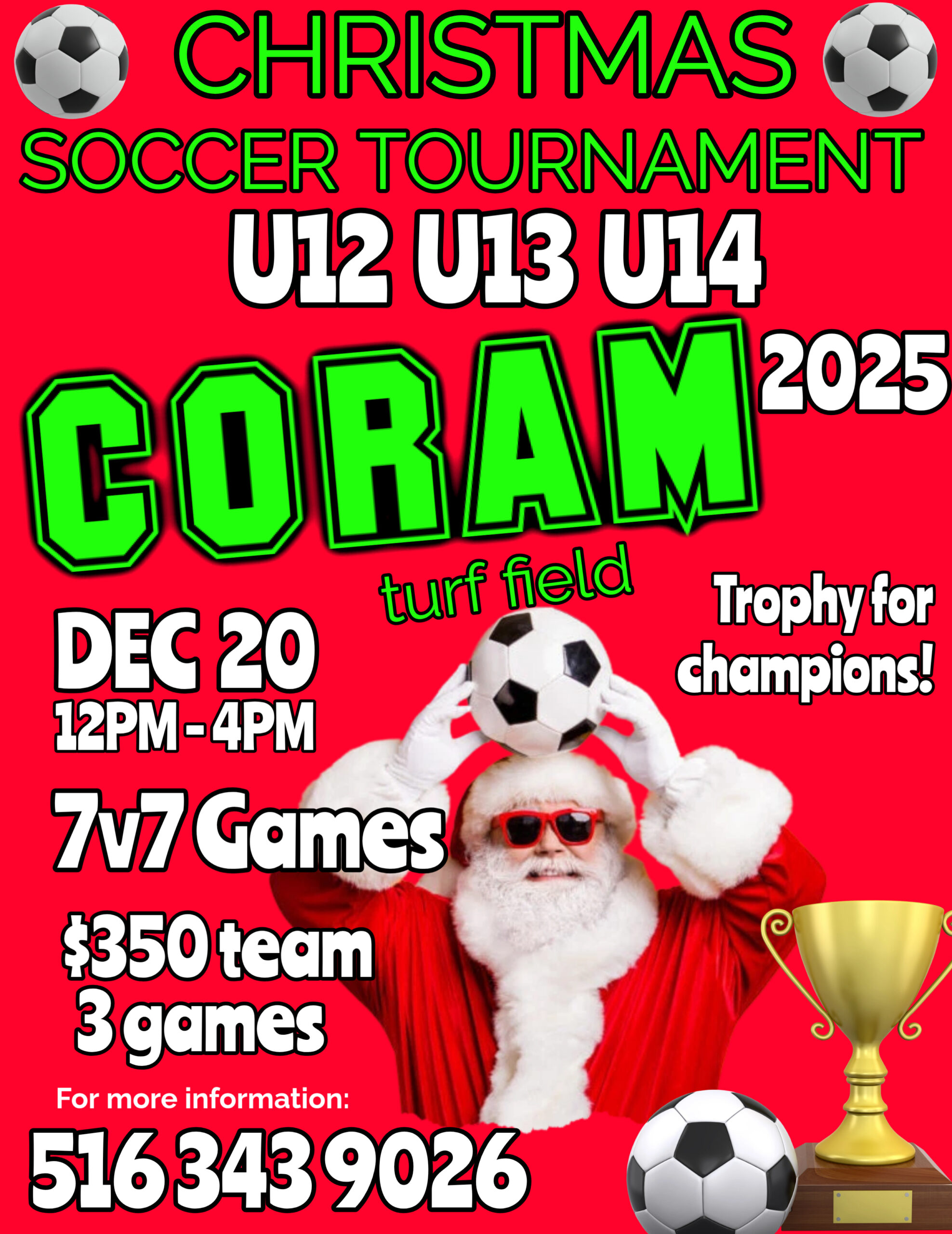 Merry Christmas Happy New Year Card Template (4)