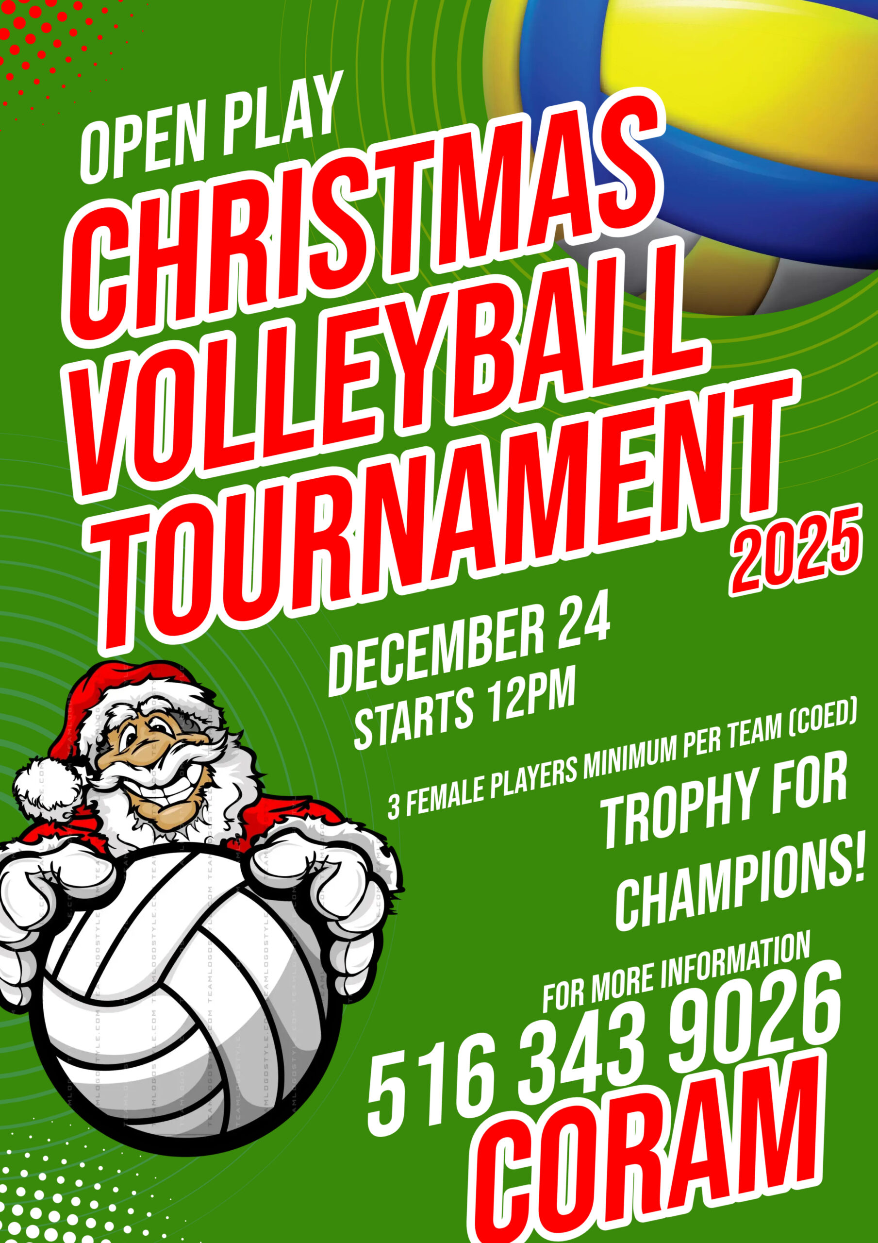Volleyball Tournament Flyer
